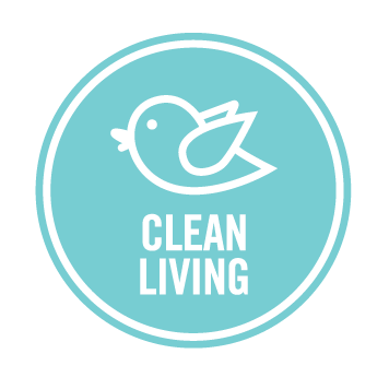 All Natural Eucalyptus Hydrosol Glass Cleaner 100ml Sample Size - Image 5