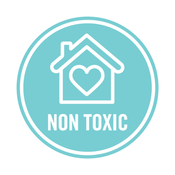 All Natural Eucalyptus Hydrosol Glass Cleaner - Image 6