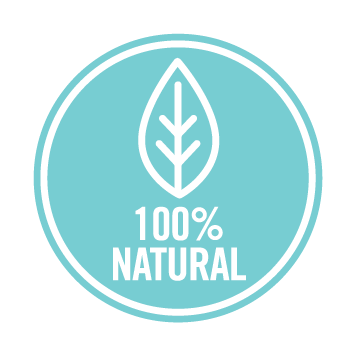 All Natural Eucalyptus Laundry Liquid - Image 4