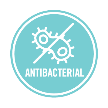 Australian Eucalyptus Non Toxic Spray - Image 7